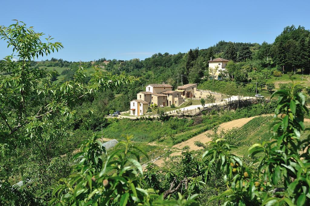 Гостевой дом Country House Ca' Vernaccia Урбино Экстерьер фото